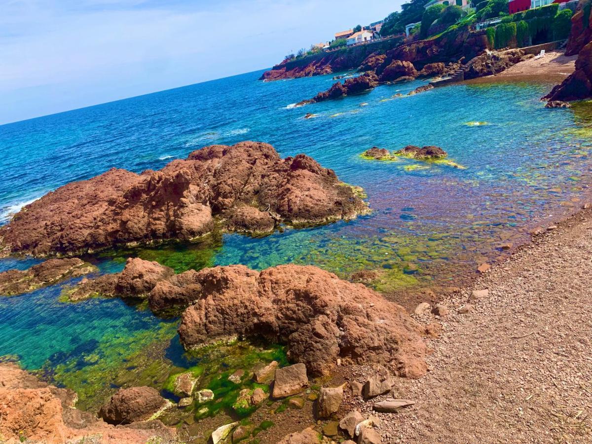La Belle Vue-Charming Duplex Apartment With Sea View, 50 Meters From Beach And Private Parking Saint-Raphaël Exterior foto
